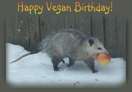 Happy Vegan