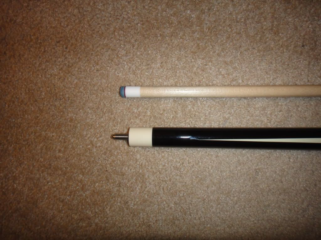 DSC01118.jpg