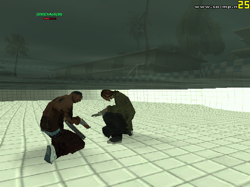 [Image: sa-mp-041.png]