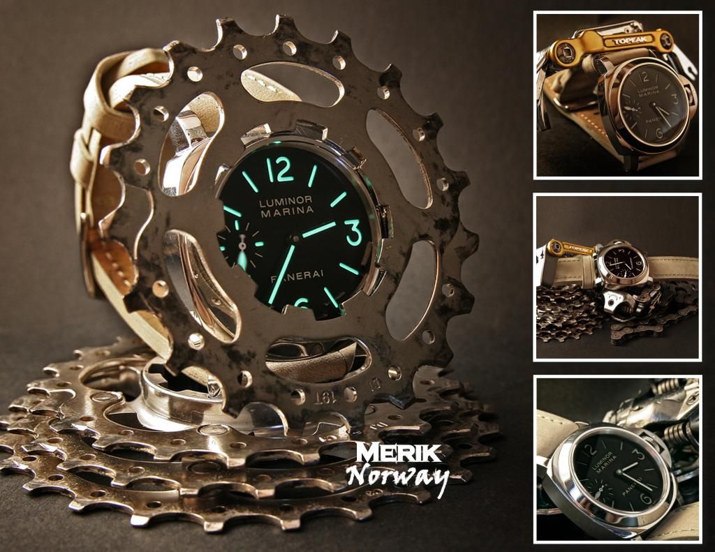 07merikbicyclegearpanerai_zps27d0d22a.jpg