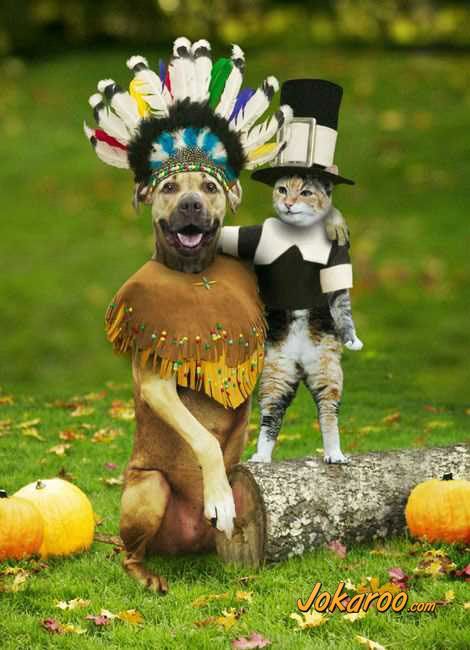 Happy Thanksgiving Pictures, Images and Photos