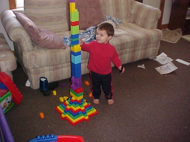 Lego Tower What Goes Up...