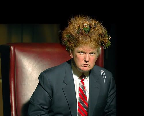 donald trump hair. Donald Trump#39;s Hair-Creature