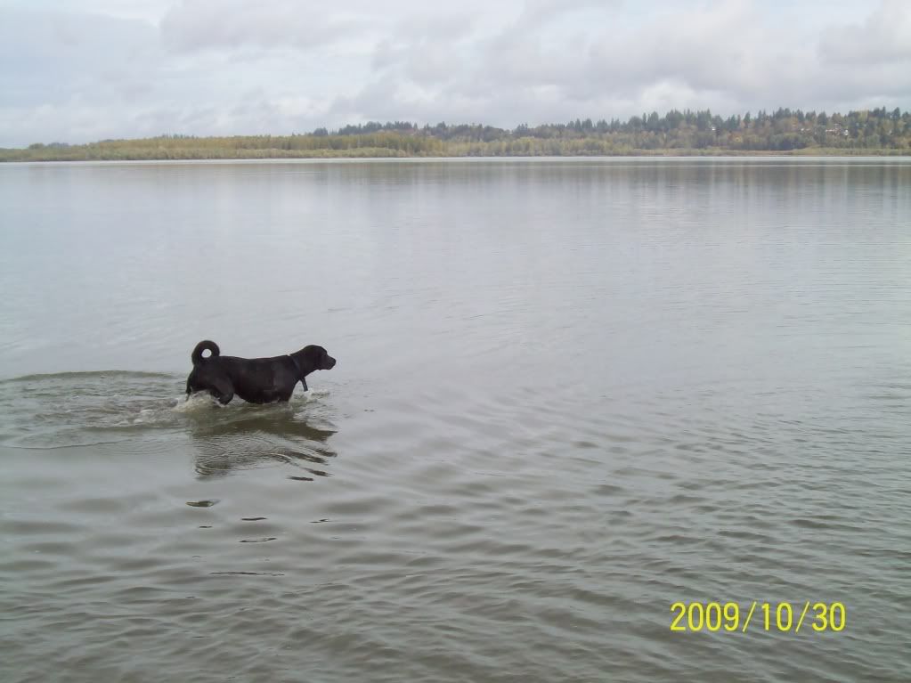 Posted Image