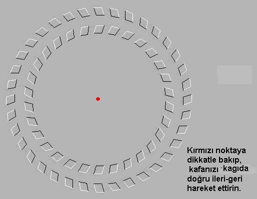 1-1-1.gif