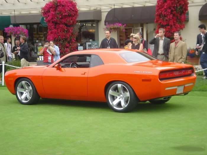 1175623622_luxury_048.jpg