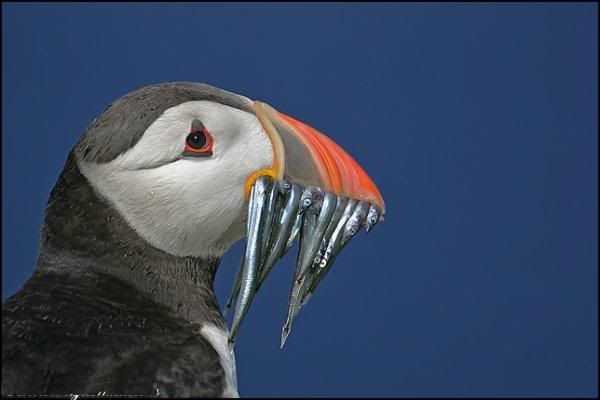 1198711916_3.jpg