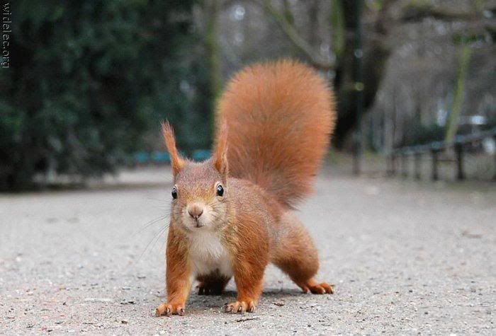 1201815437_wikimedia_23.jpg