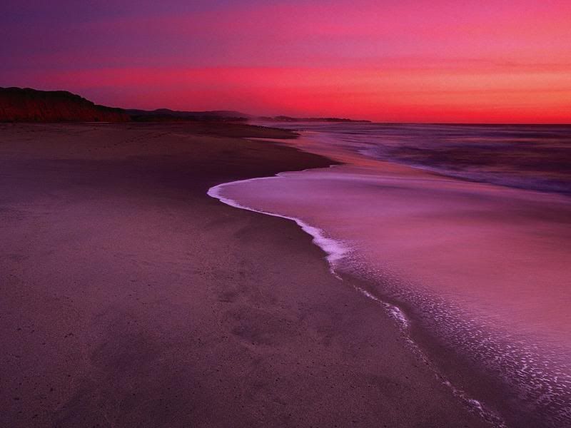 95703dunesbeachhalfmoonxs3.jpg