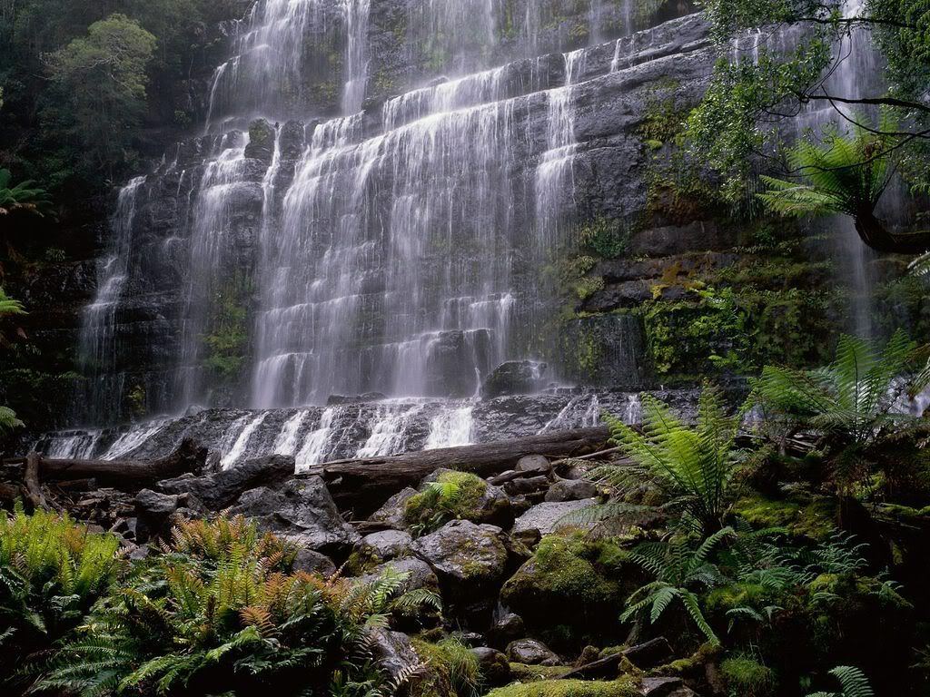RussellFallsMountFieldNationalParkT.jpg