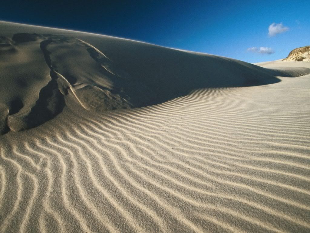 SandDunesinFraserIslandAustralia.jpg