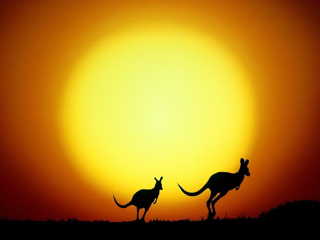 TheKangarooHopAustralia.jpg