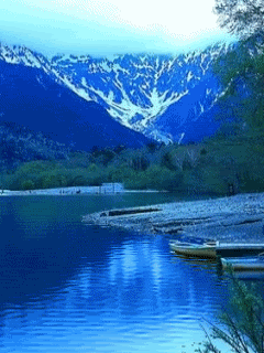 Animated10.gif