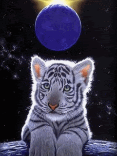 Animated101.gif