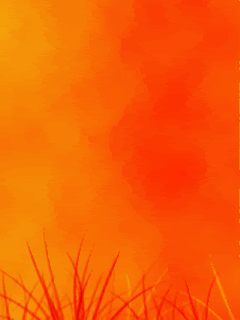 Animated111.gif