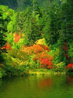 Animated116.gif