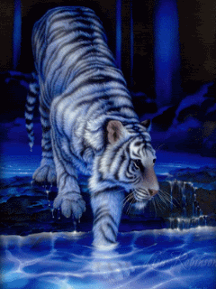 Animated153.gif