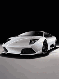 Animated18.gif