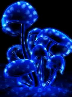 Animated192.gif