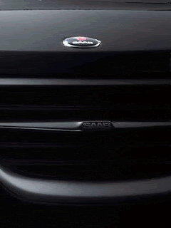 Animated195.gif