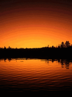 Animated20.gif