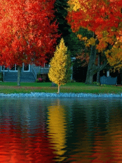 Animated27.gif