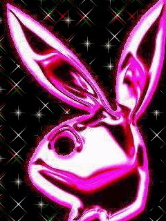 Animated32.gif