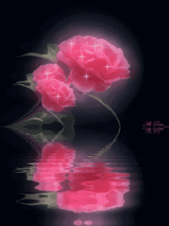 Animated44.gif