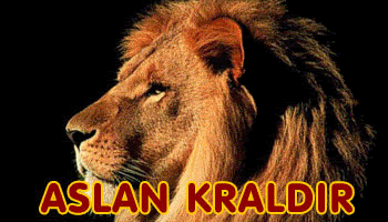 aslan100pp8zesj8bf3.gif