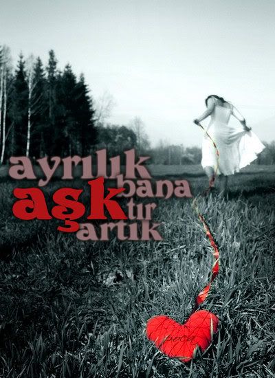 ayrlk2ad0.jpg