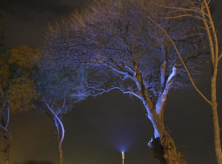 atatrkparkgrnkt.jpg