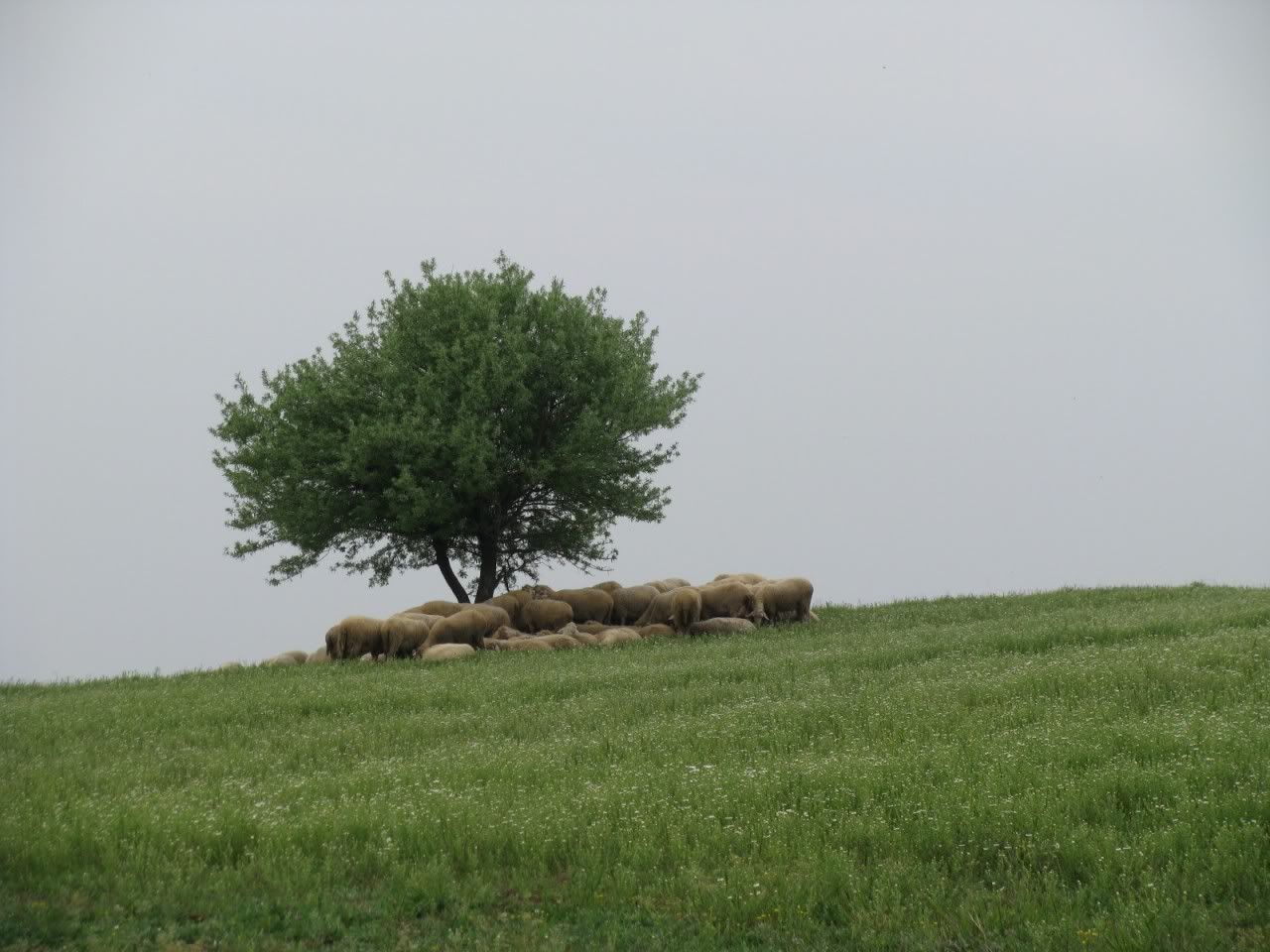 balikesir11.jpg