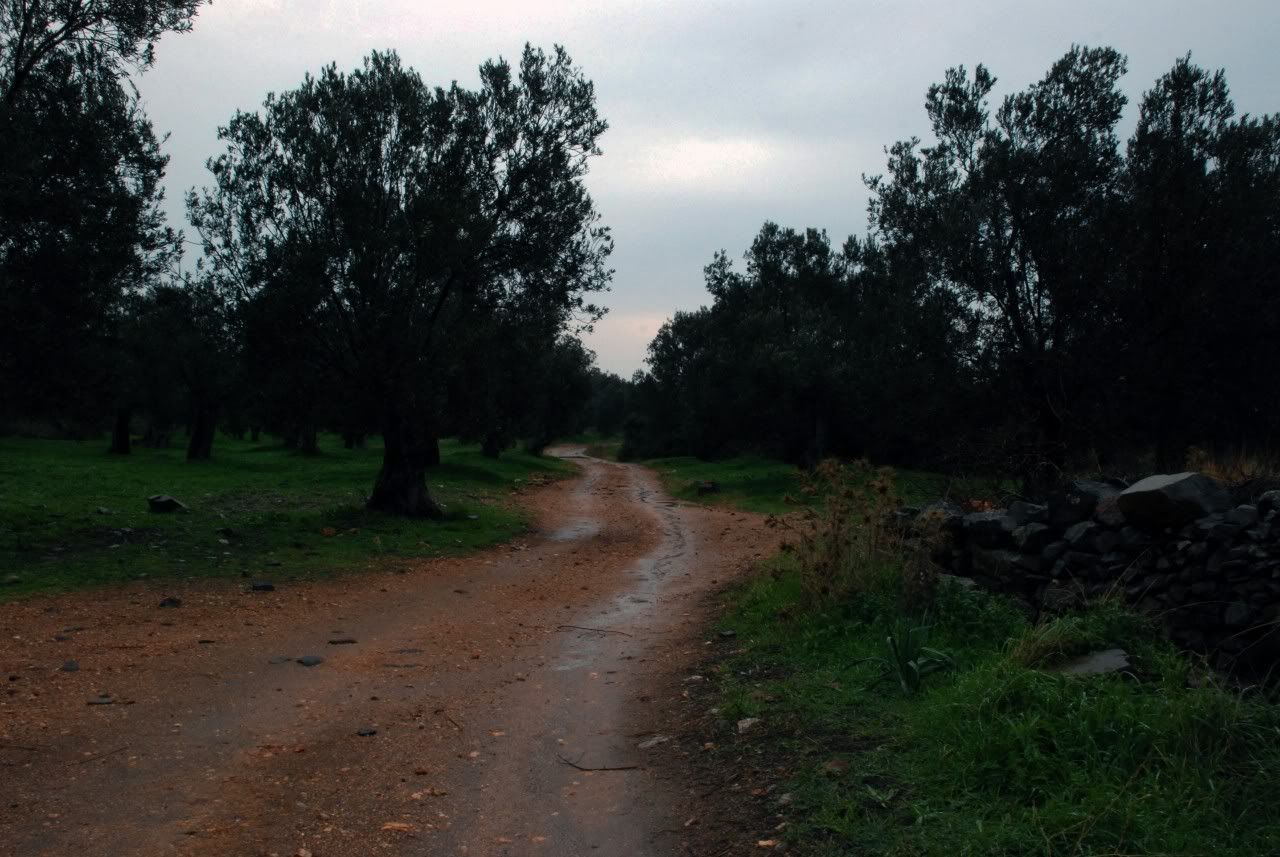 balikesir8.jpg