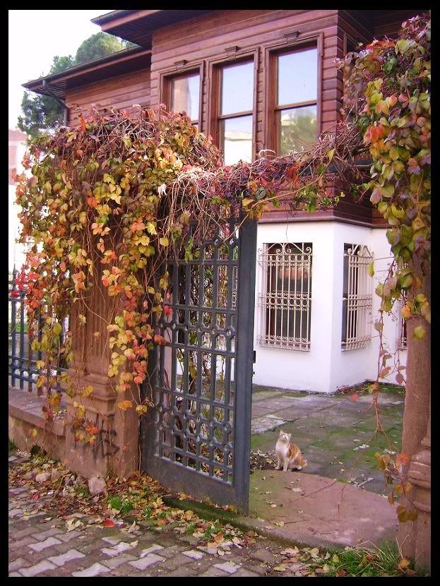 balkesiraraskev.jpg