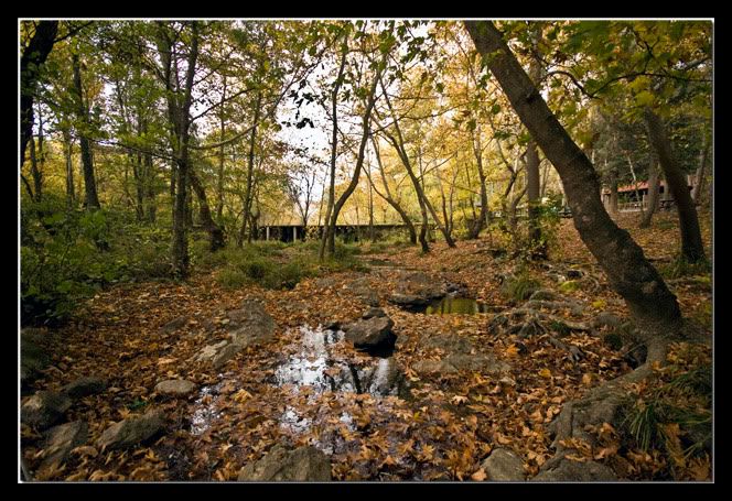 deirmenboaz-1.jpg