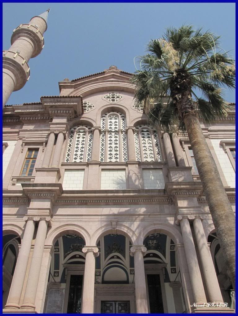 narlcamii.jpg