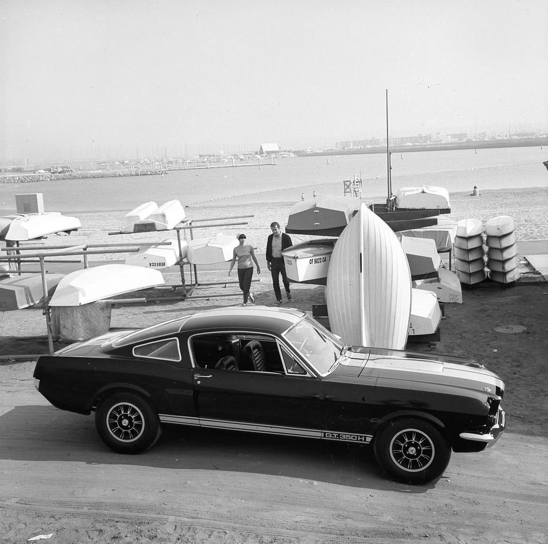 1966-shelby-mustang-gt-350h-03.jpg