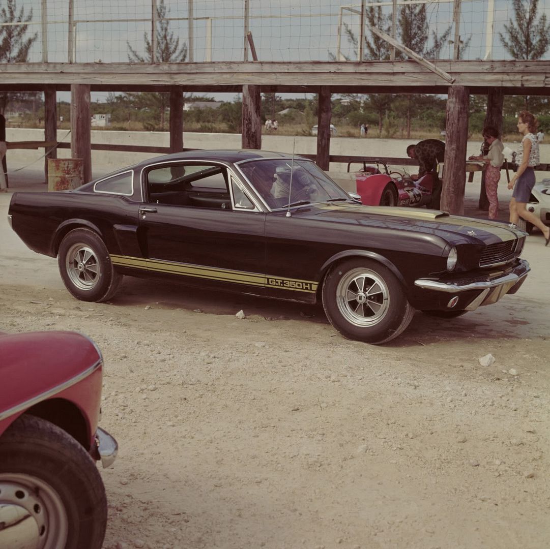 1966-shelby-mustang-gt-350h-04.jpg