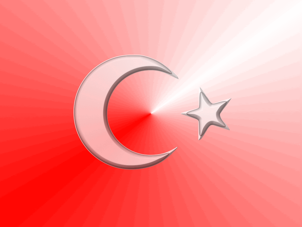 3.gif