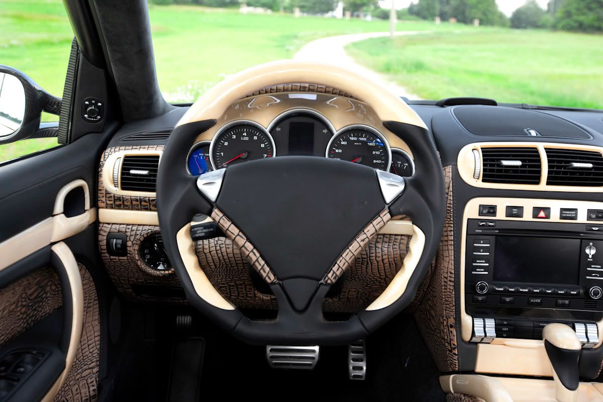 955-cayenne-by-mansory-34.jpg