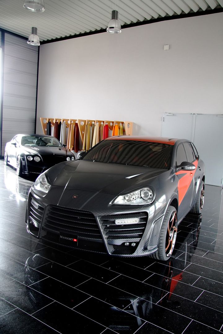 mansory-chopster-10.jpg