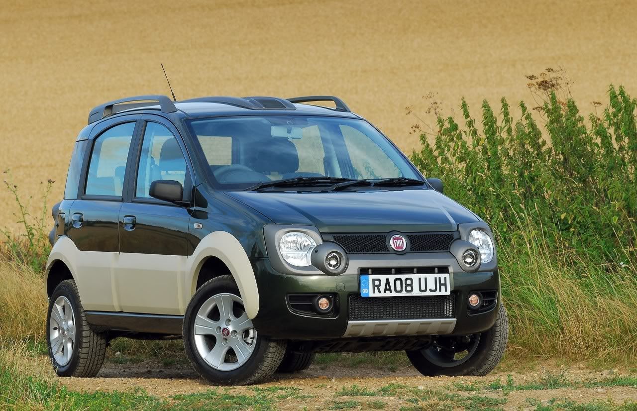 panda-cross-01.jpg
