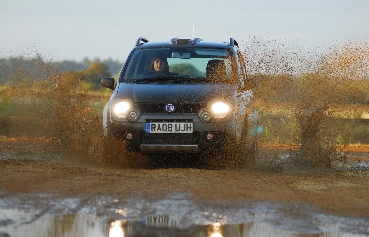 panda-cross-03.jpg