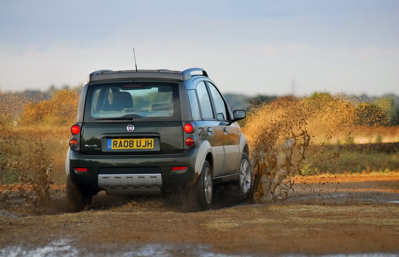 panda-cross-04.jpg