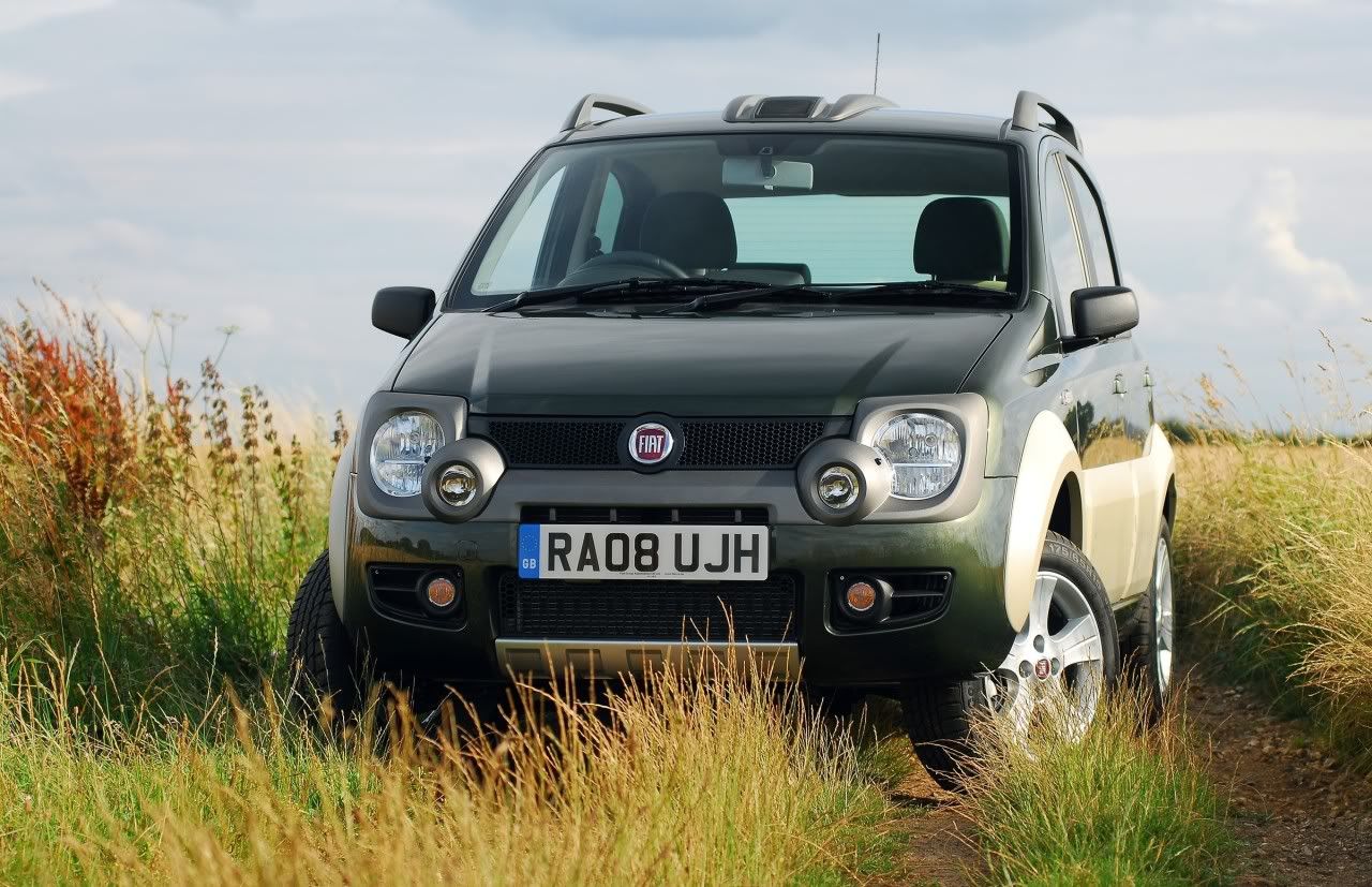 panda-cross-07.jpg