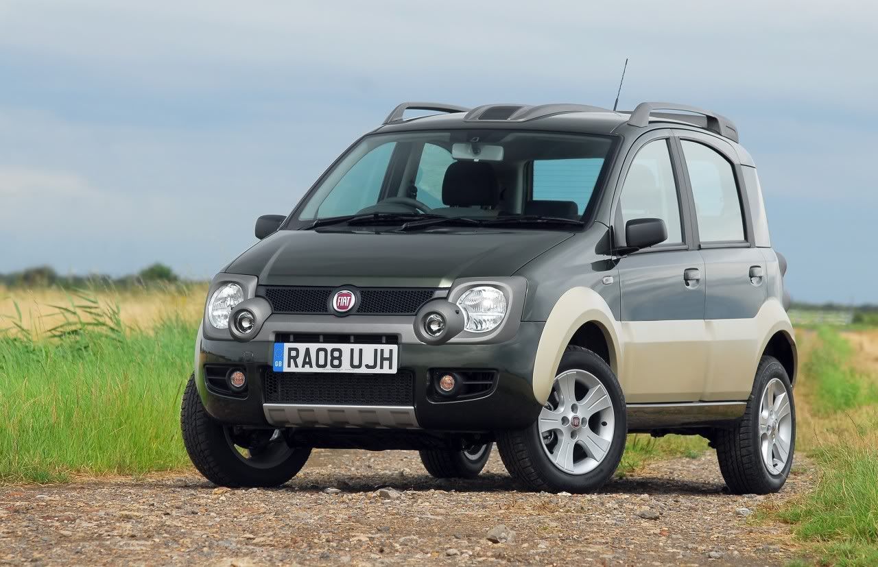 panda-cross-08.jpg
