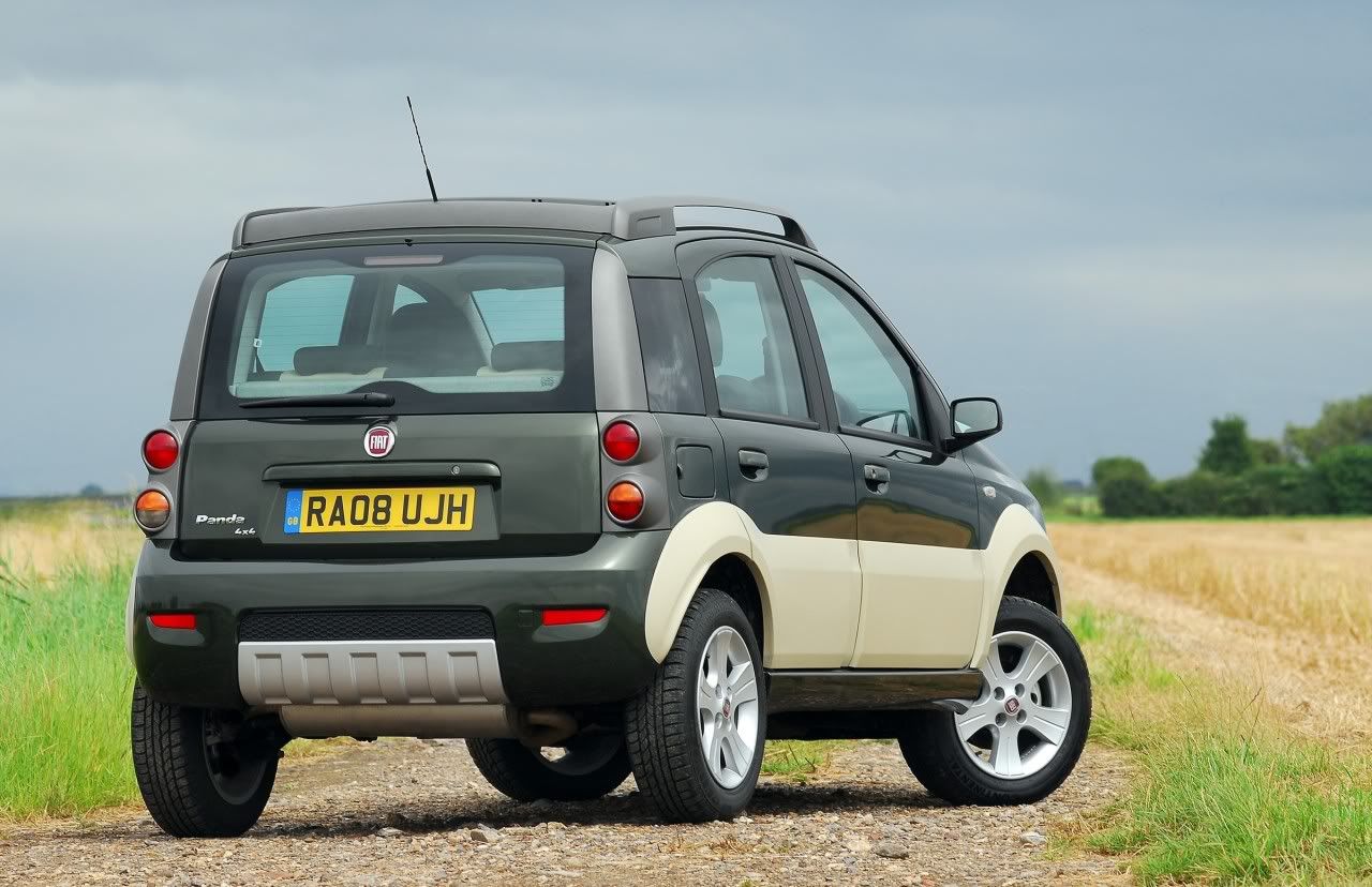 panda-cross-13.jpg