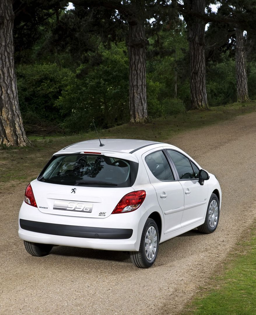 peugeot-207-economique-06.jpg