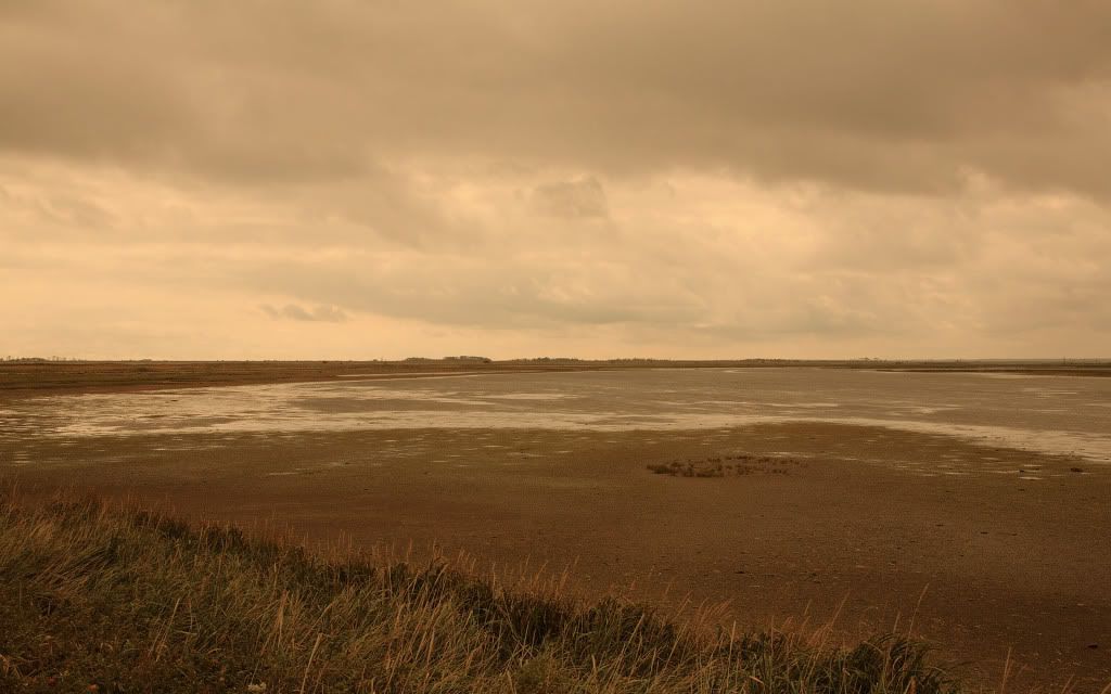 280420412_ad97a73ab1_o.jpg