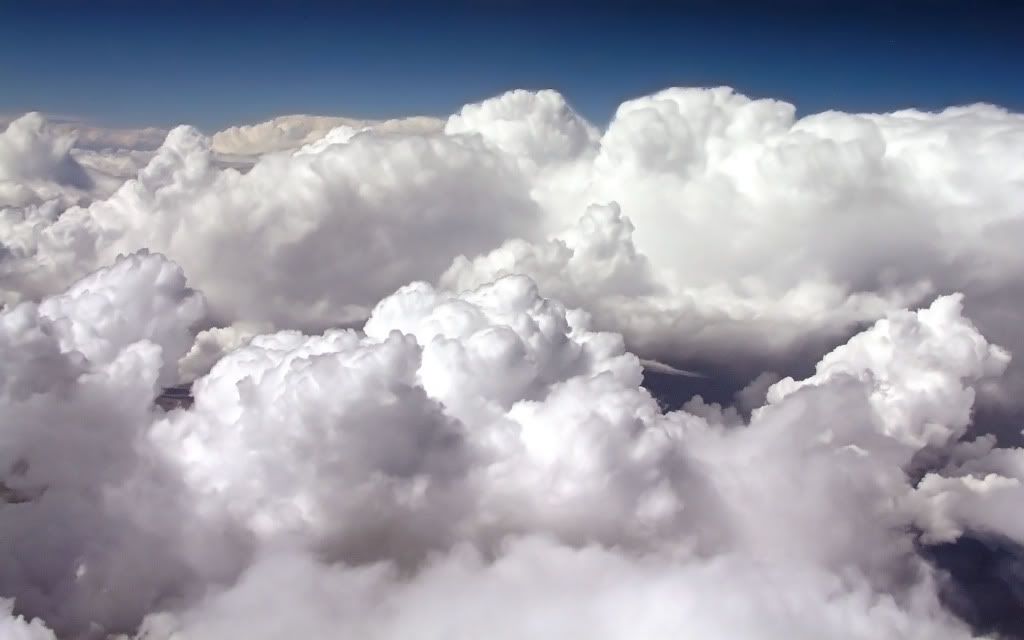 281917500_61676d0c1f_o.jpg